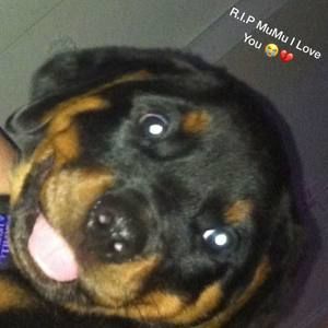 Meet your Posher, Keyaira